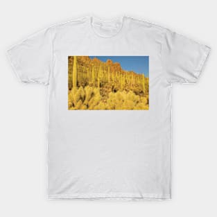 Sonoran Desert Landscape T-Shirt